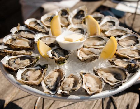 oysters