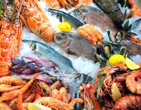 variety at fish market