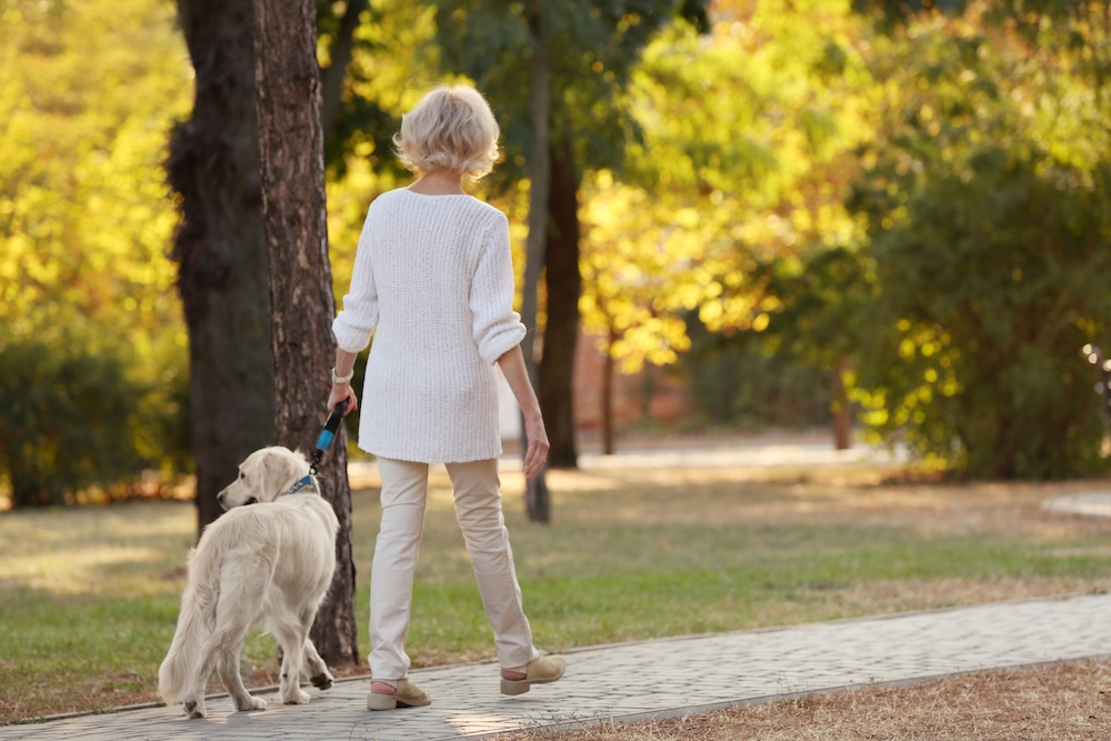 Dog walk at park